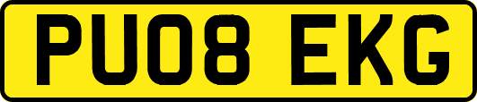 PU08EKG