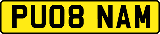 PU08NAM