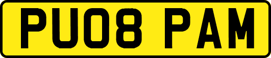 PU08PAM