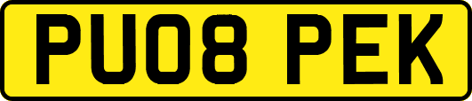 PU08PEK