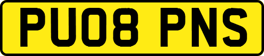 PU08PNS