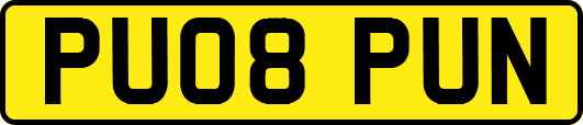 PU08PUN