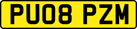 PU08PZM