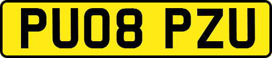 PU08PZU