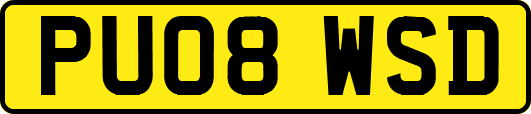 PU08WSD