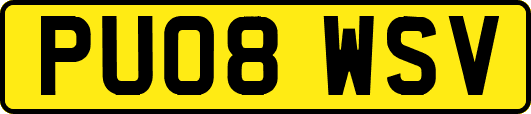 PU08WSV