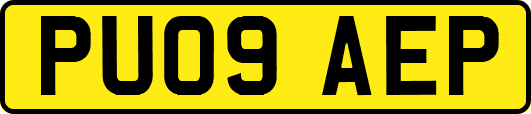 PU09AEP