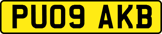 PU09AKB
