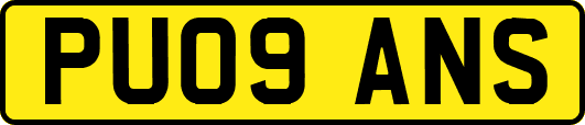 PU09ANS