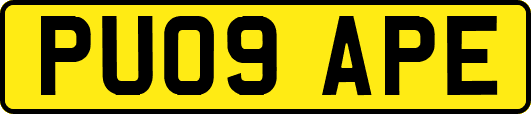 PU09APE