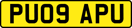 PU09APU