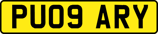 PU09ARY