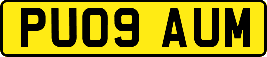 PU09AUM