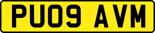 PU09AVM