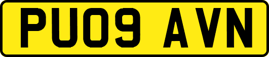 PU09AVN