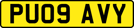 PU09AVY