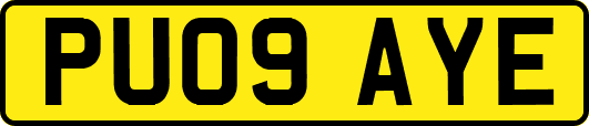 PU09AYE