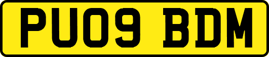 PU09BDM