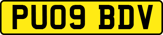 PU09BDV