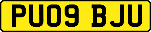 PU09BJU