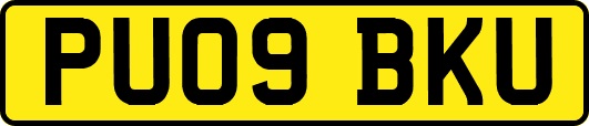 PU09BKU