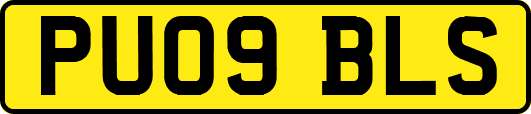 PU09BLS