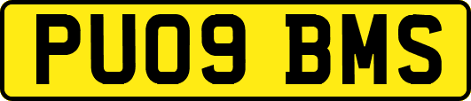PU09BMS