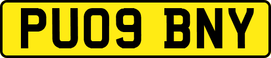 PU09BNY