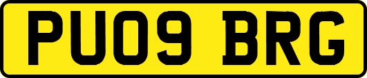 PU09BRG