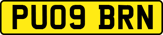 PU09BRN