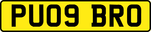 PU09BRO