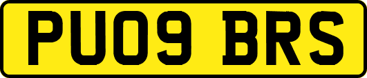 PU09BRS