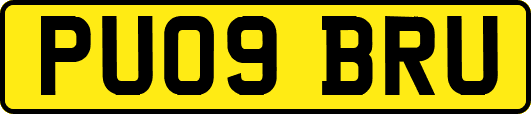 PU09BRU
