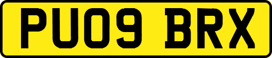 PU09BRX