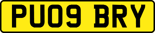 PU09BRY