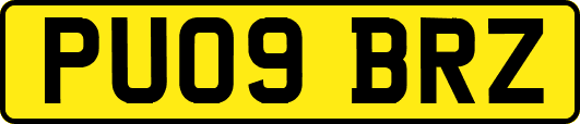 PU09BRZ