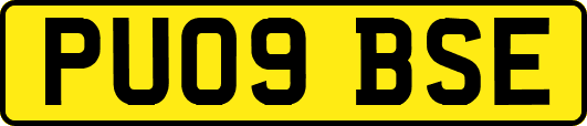 PU09BSE
