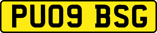 PU09BSG