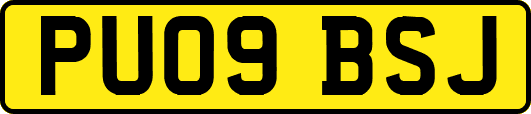 PU09BSJ