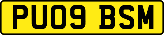 PU09BSM