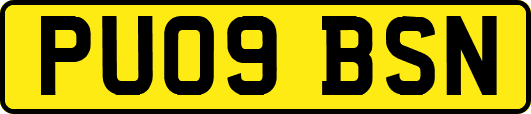 PU09BSN