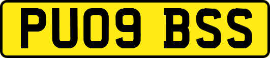 PU09BSS