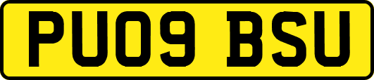 PU09BSU
