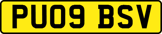 PU09BSV