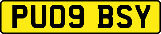 PU09BSY