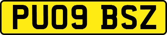 PU09BSZ
