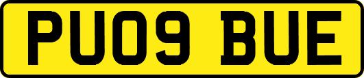 PU09BUE