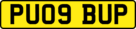 PU09BUP