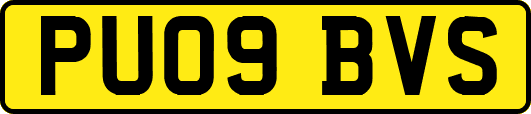 PU09BVS