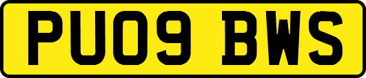 PU09BWS